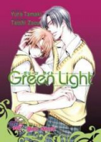 Green Light (Novel)